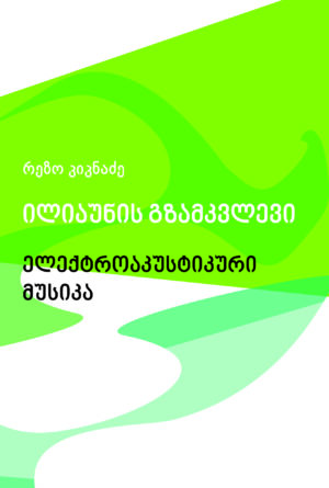 Rezo Kiknadze_EleqtroAkustikuri Musika_Cover'